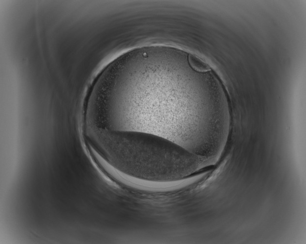 X0000088231525200705221814
