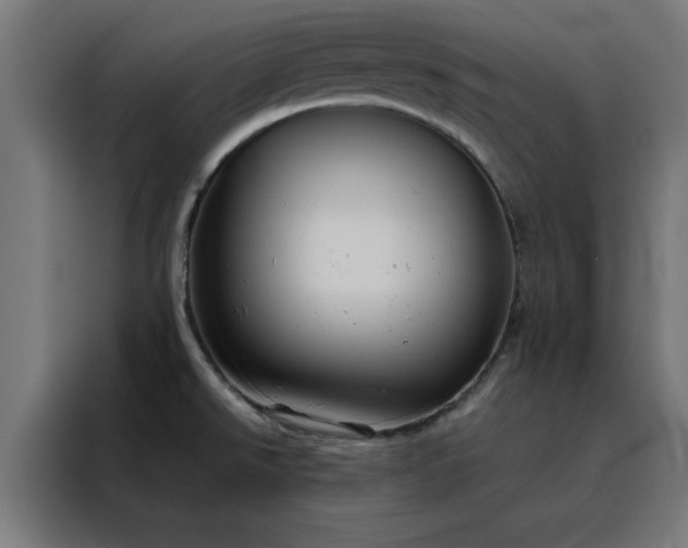 X0000088231526200705221814