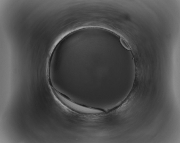 X0000088231527200705221814