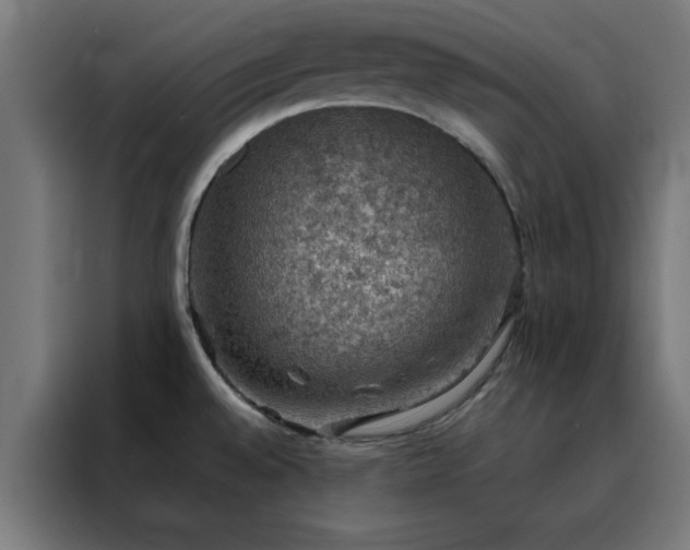 X0000088231528200705221814