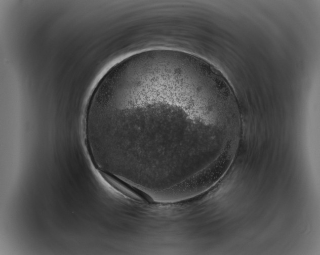 X0000088231531200705221814