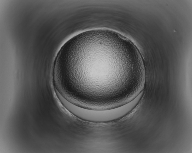 X0000088231534200705221814