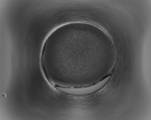 X0000088231536200705221814
