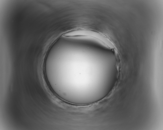 X0000088230001200705292143