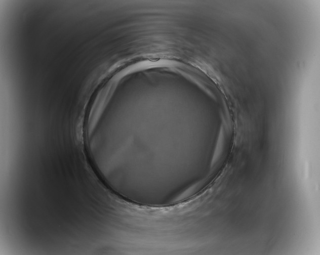 X0000088230002200705292143