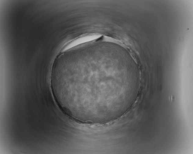 X0000088230003200705292143