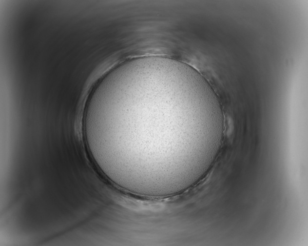 X0000088230004200705292143