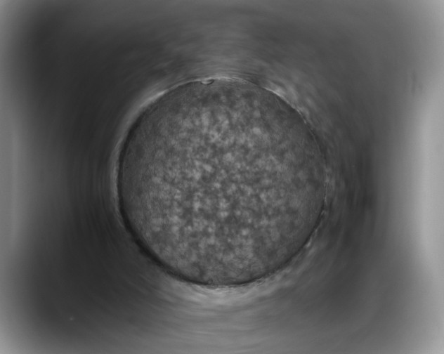 X0000088230006200705292143