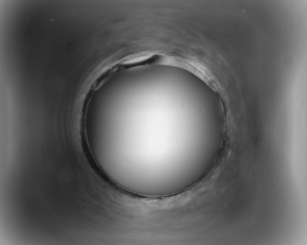 X0000088230007200705292143