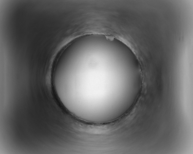 X0000088230008200705292143