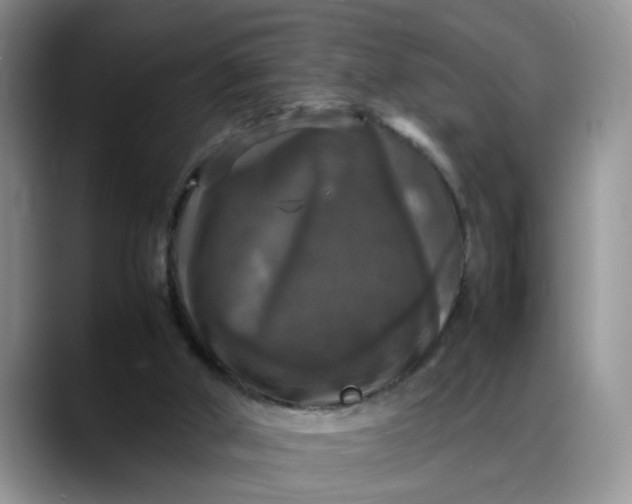 X0000088230010200705292143