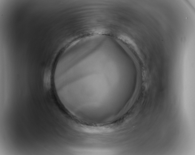 X0000088230012200705292143