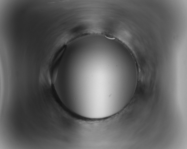 X0000088230013200705292143