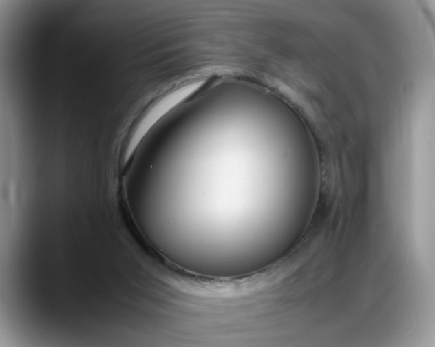 X0000088230015200705292143