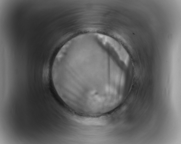X0000088230016200705292143