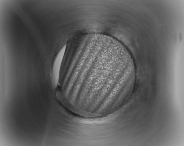 X0000088230017200705292143