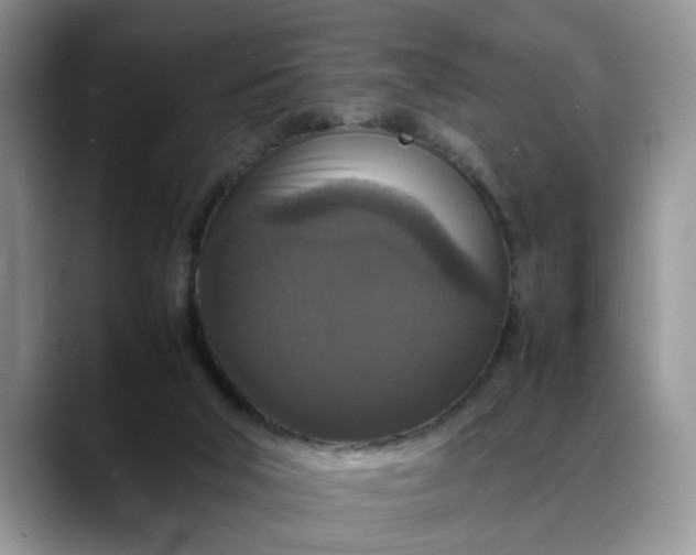 X0000088230018200705292143