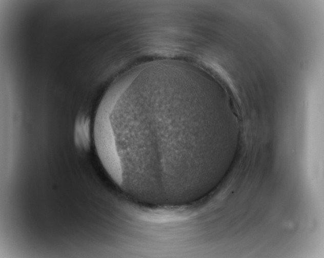 X0000088230020200705292143