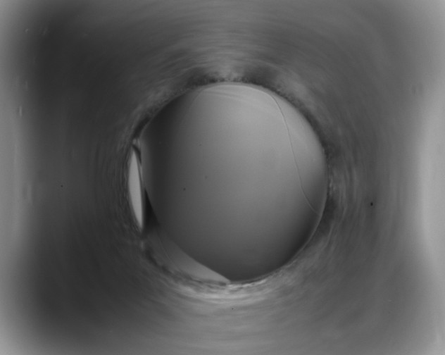 X0000088230023200705292143