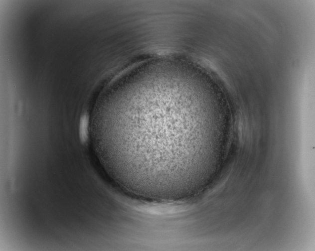 X0000088230024200705292143