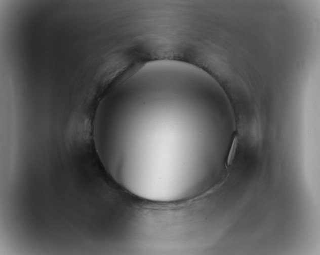 X0000088230025200705292143