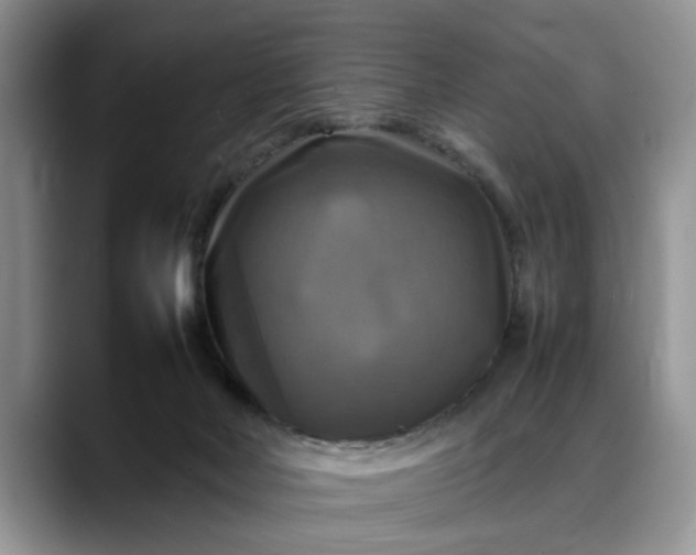 X0000088230026200705292143