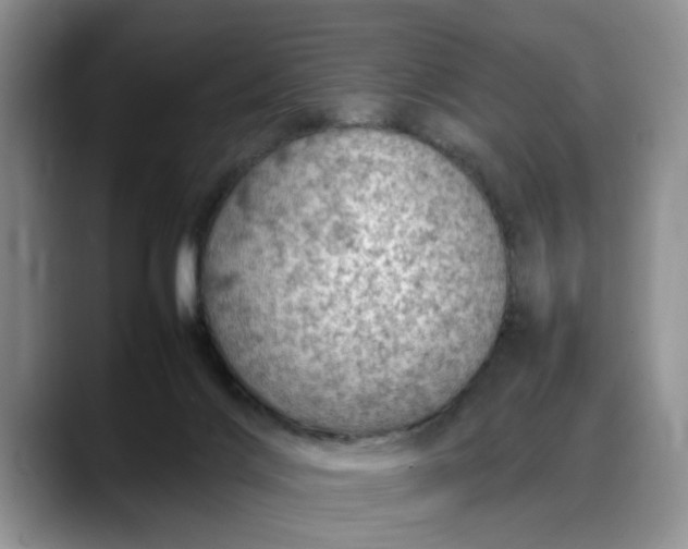 X0000088230028200705292143