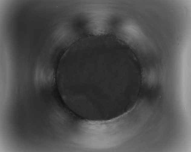 X0000088230029200705292143