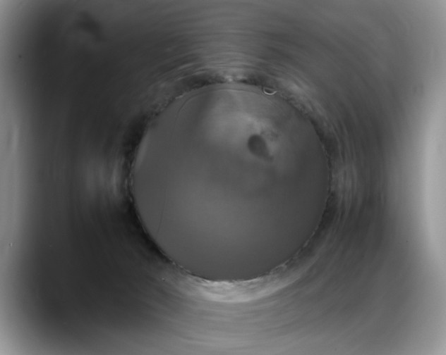 X0000088230030200705292143