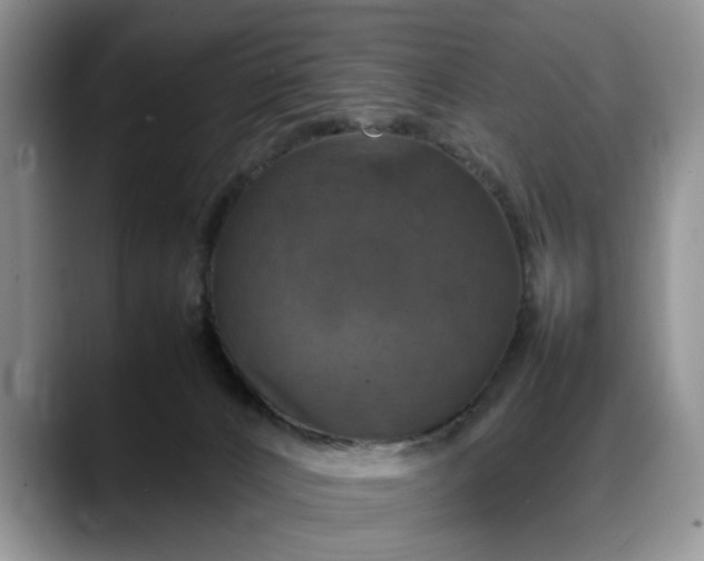 X0000088230032200705292143