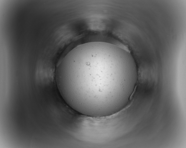 X0000088230033200705292143