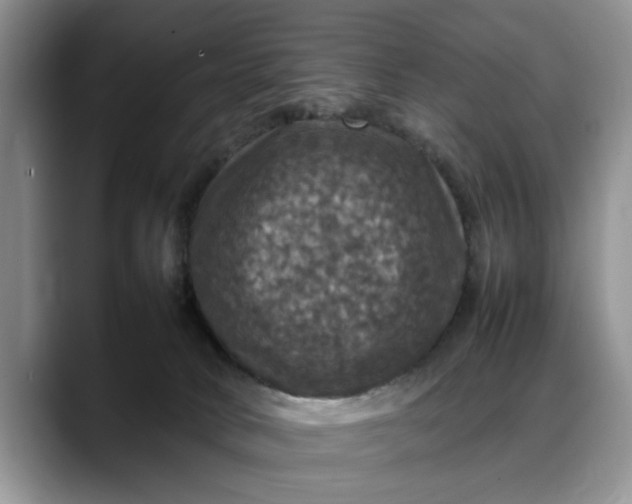 X0000088230034200705292143