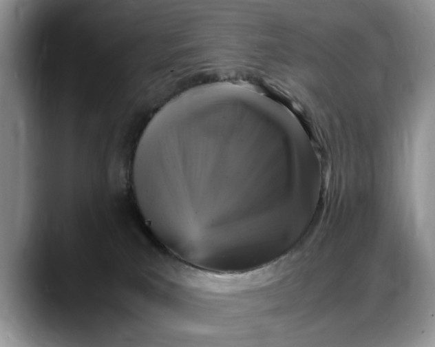 X0000088230039200705292143