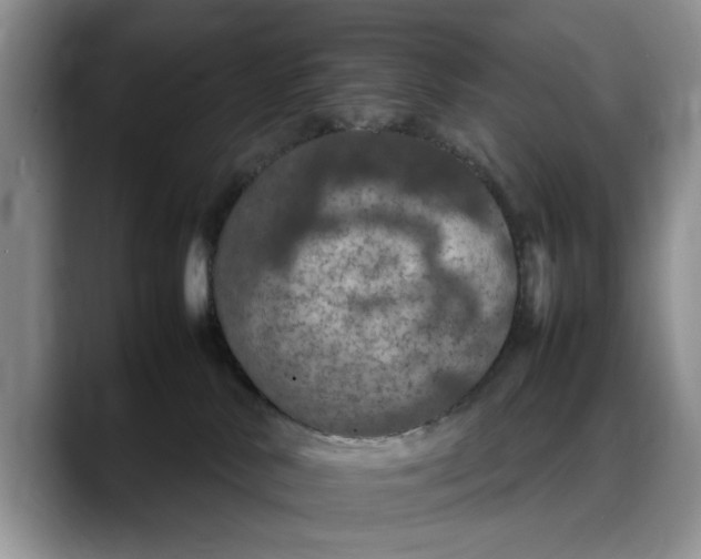 X0000088230042200705292142