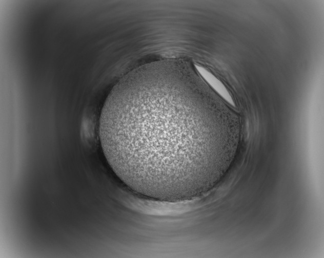 X0000088230044200705292142