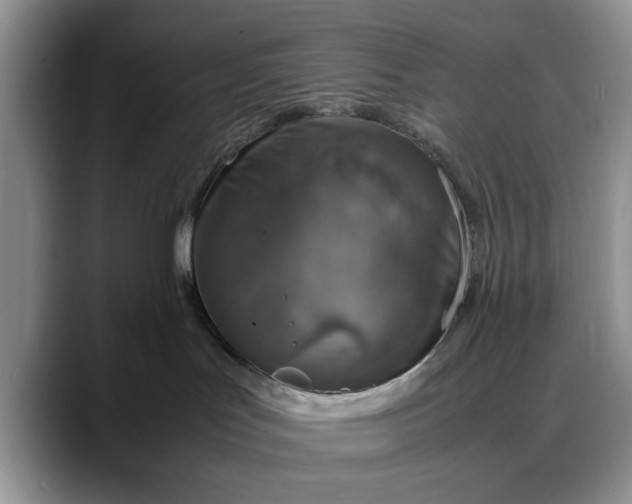 X0000088230047200705292142
