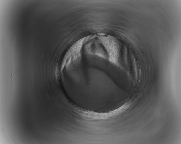 X0000088230048200705292142
