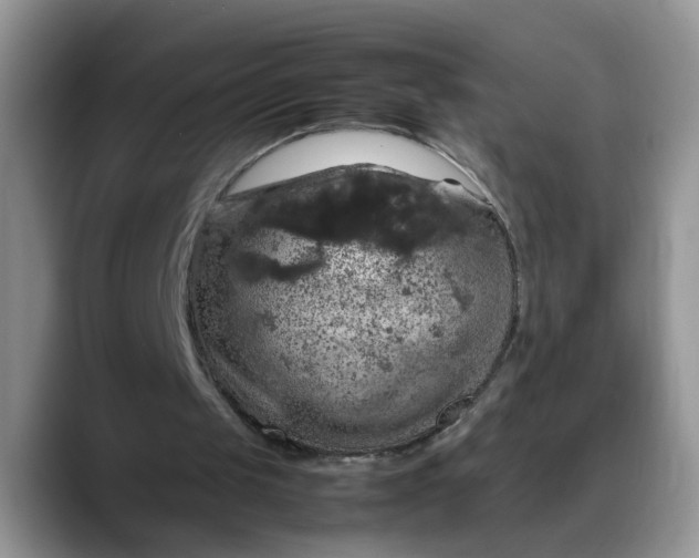 X0000088230049200705292142