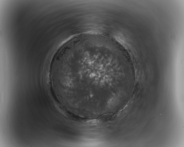X0000088230050200705292142