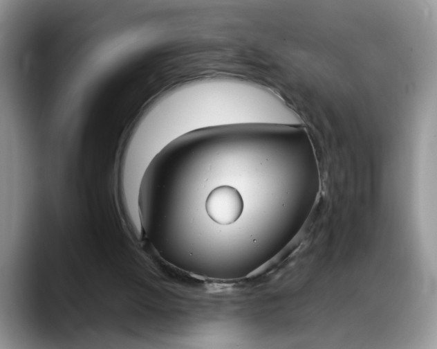 X0000088230052200705292142