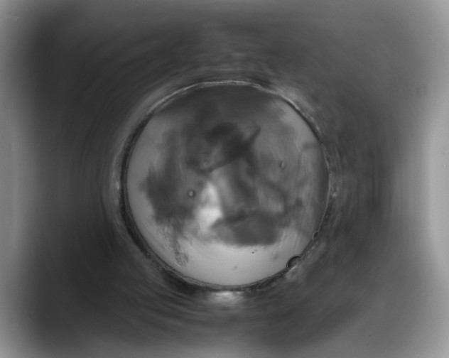 X0000088230053200705292142
