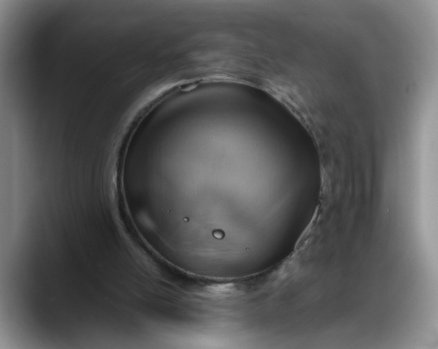 X0000088230054200705292142