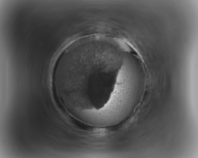 X0000088230055200705292142
