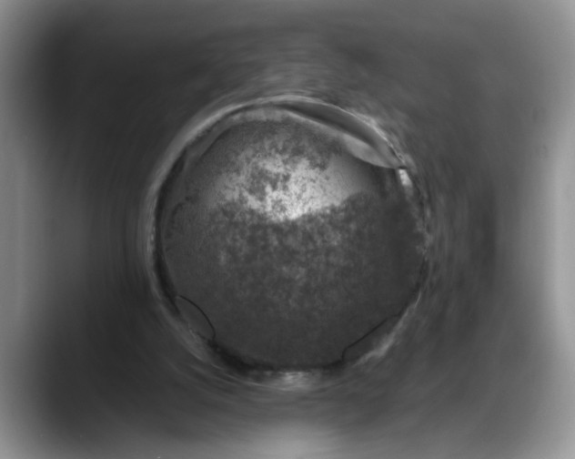 X0000088230056200705292142