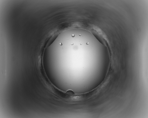X0000088230057200705292142