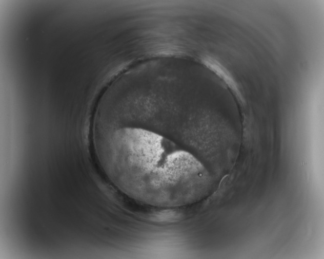 X0000088230058200705292142