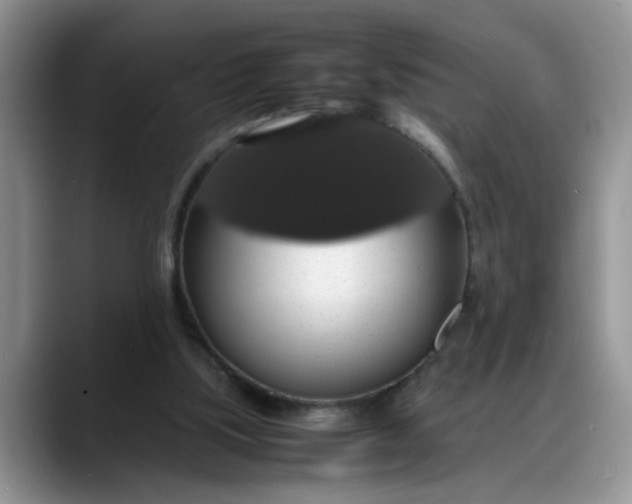 X0000088230059200705292142