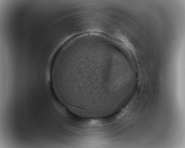 X0000088230060200705292142