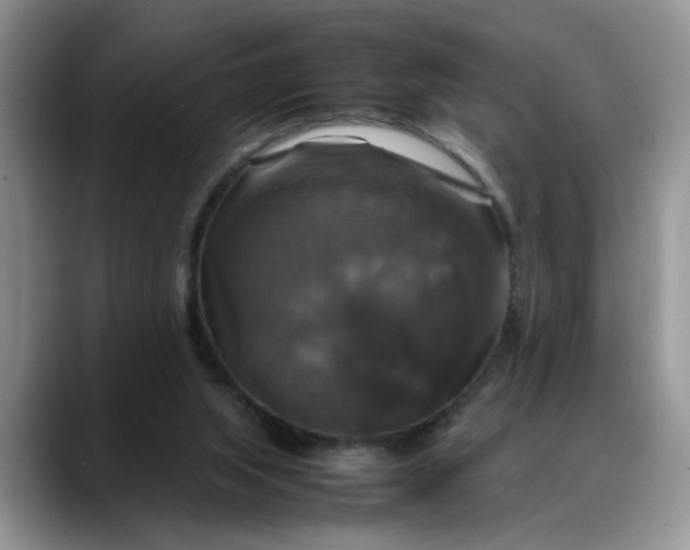 X0000088230063200705292142