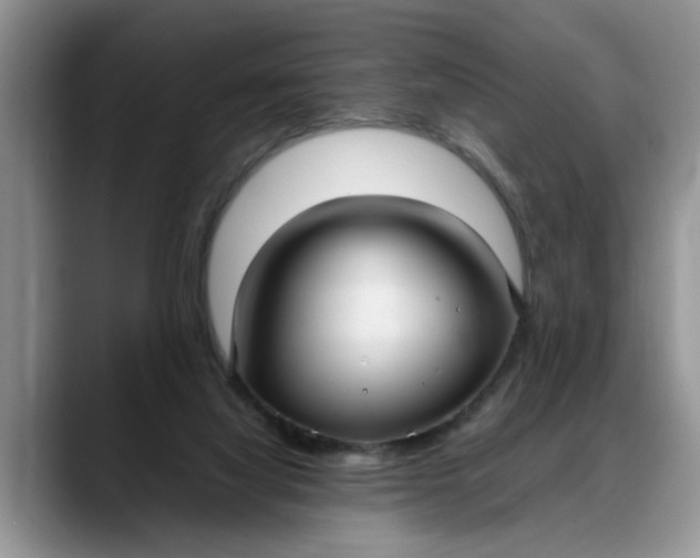 X0000088230068200705292142